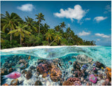 Ravensburger Puzzle 17441 O scufundare în Maldive - Puzzle de 2000 de piese pentru adulți și copii de 14 ani și peste Puzzle Naty Shop