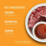 Hrană umedă naturală, fragedă, din pate, pentru pisici adulte, Lily's Kitchen, tăvițe, rețete fără cereale, diverse sortimente (32 tăvițe x 85 g)