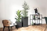 Lechuza CANTO Stone 30 înălțime, Negru grafit, Plastic de înaltă calitate, Include sistem de udare, Inserție de plantare detașabilă, Pentru uz interior și exterior, 13602, 30x30x56 cm