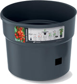 Ghiveci pentru răsaduri de roșii Prosperplast cu spalier – Jardinieră din plastic robust | Antracit | Rezistent la intemperii și UV | 29,5 x 115,2 cm | Ideal pentru grădină și terasă