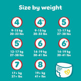 Scutece Pampers Baby-Dry, mărimea 8, 22 de unități, 19 kg+