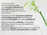 Traumnacht Pernă din bambus cu fibre de bambus, hipoalergenic, antibacterian Set de perne cu fermoar, format din 2 perne 40X80Cm, certificat Oeko-Tex, dezvoltat în Germania Perne standard Naty Shop