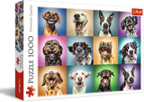 Puzzle Jigsaw - "1000" - Portrete de câini amuzante Puzzle Naty Shop Portrete de câine amuzante