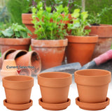 Hollyone set de 8 piese de ghivece mici din teracotă, ghivece rotunde din lut de 8 x 8 cm cu farfurie și orificiu de drenaj, ghivece mici cu tavă, ghivece suculente din teracotă pentru plante de apartament, jardiniere ceramice