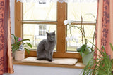 Pături & Mobilier, Animale de companie, Pisici, Paturi pentru pisici, Covorase pentru zgarieturi, Pisici - culcusuri, saltele