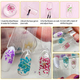 Getrocknete Blüten Nail Sticker, 2 Box 36 Stücke 3D Nail Art Kunstharz Blumen Sticker, Blüten Getrocknet Nagelkunst Trocken Blumen Nagel Zubehör Für Nagel Dekor DIY Design Mit 1 Gebogener Pinzette