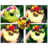 Fructe dragon liofilizate, 100g fructe dragon condimentate cu 1 ingredient, fără zahăr adăugat, cuburi de fructe dragon pentru băut Produse deshidratate Magazinul meu