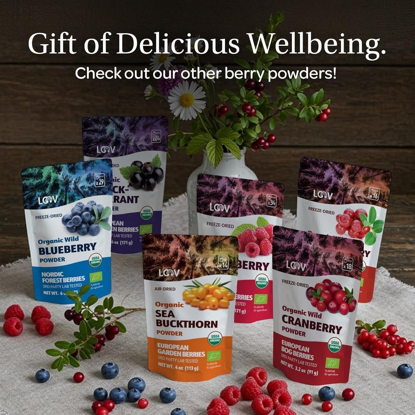 LOOV Organic Wild Blueberry Powder - rezervă pentru 29 de zile, 171 g, bună pentru smoothie-uri și mic dejun, congelată și uscată, din Europa de Nord, fără zahăr adăugat Produse deshidratate Naty Shop