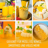 Mango liofilizat: 100g fructe liofilizate din bucăți fragede de mango fără zahăr adăugat - mango uscat - mango uscat - fructe uscate - fructe uscate de la NutriPur Produse deshidratate Naty Shop