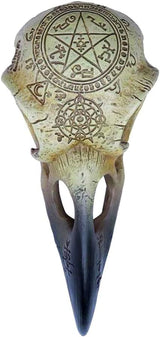 Omega Raven Skull Statuete si sculpturi Naty Shop