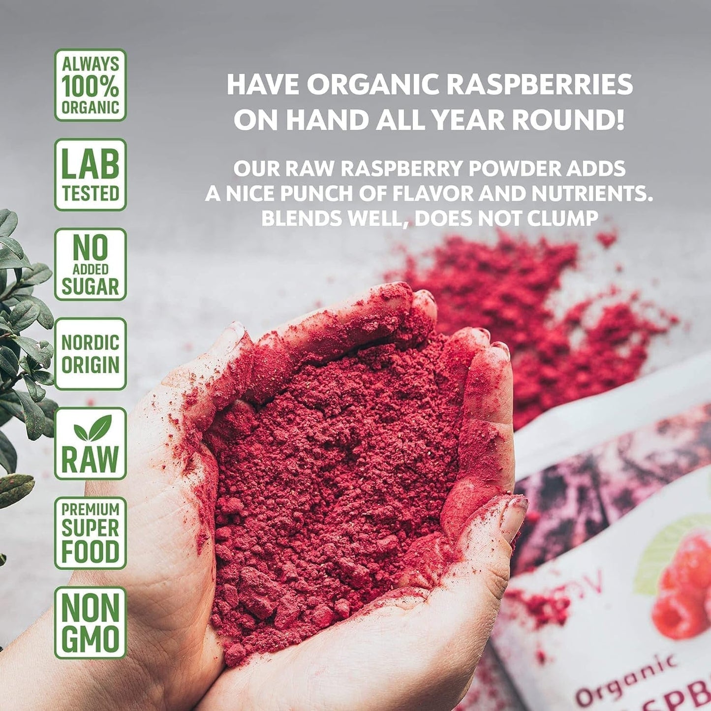 Pudră organică de zmeură, obținută din 100% zmeură întreagă, pulbere obținută din zmeură liofilizată, 171 g, din Europa, aprovizionare pentru 24 de zile, fără zahăr adăugat Produse deshidratate Naty Shop
