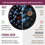 Pulbere organică de afine sălbatice, afine întregi liofilizate, 100% calitatea alimentelor crude, bogate în antioxidanți și vitamina C, fără zahăr adăugat, recoltate în Europa de Nord Produse deshidratate Naty Shop