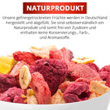Set de degustare de fructe liofilizate 5x40g, căpșuni fructate liofilizate, zmeură, ananas, mango și amestec de căpșuni-banană, fără aditivi, fabricat în Germania Produse deshidratate Naty Shop