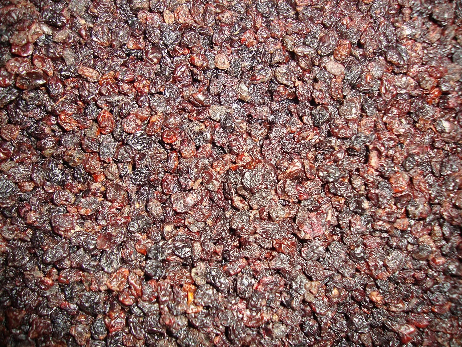 Struguri sultanine Coacăze 1 kg I Struguri sultanine uscate I Struguri sultanine corintice I Origine greacă | Struguri sultanine fără semințe, dulci și dulci | Struguri deshidratați, uscați sau deshidratați | Fără zahăr | Produse deshidratate Naty Shop Titlu implicit