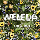 WELEDA Organic Baby Calendula Care Cream Body & Face 75ml - Cremă de față / cremă de piele pentru cosmetice naturale cu ulei de susan și lanolină pentru îngrijirea pielii uscate. Cremă hidratantă de îngrijire pentru bebeluși și copii Copii - Baie si Skincare Naty Shop